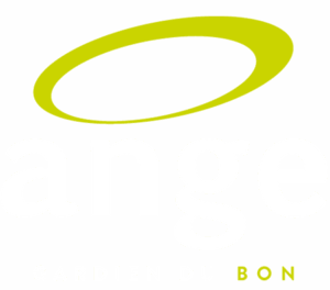 logo-angex2